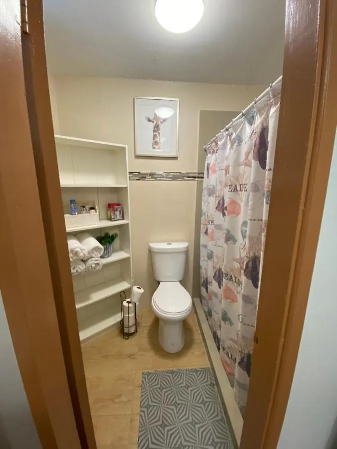 Bee Inn Puerto Rico Charming Urban Apartment In San Juan
